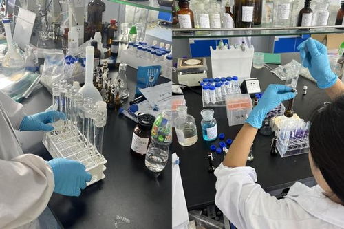 選擇熠品，加速產(chǎn)品準(zhǔn)入 專(zhuān)業(yè)ISO 10993生物相容性測(cè)試服務(wù)