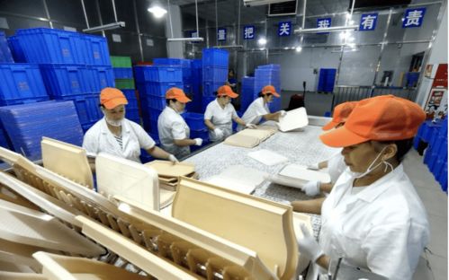 深圳餐具消毒服務(wù)機(jī)構(gòu)引領(lǐng)技術(shù)革新，助力循環(huán)經(jīng)濟(jì)推廣