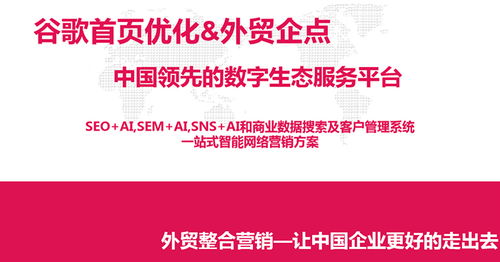 淄博外貿(mào)推廣領(lǐng)先選擇 淄博網(wǎng)泰科技助力企業(yè)全球市場(chǎng)拓展